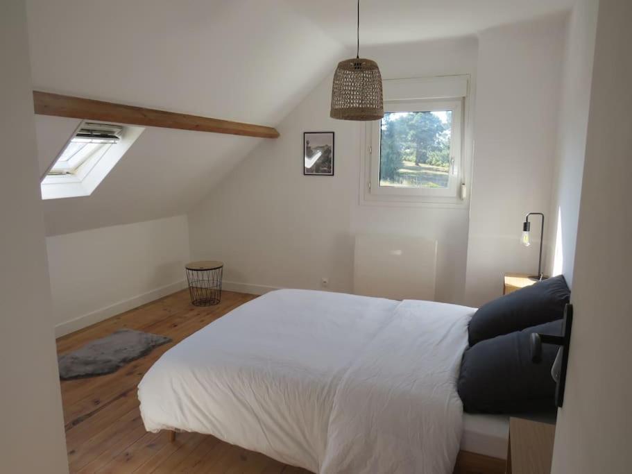 Maison - Plage A Pied Fréhel Eksteriør bilde